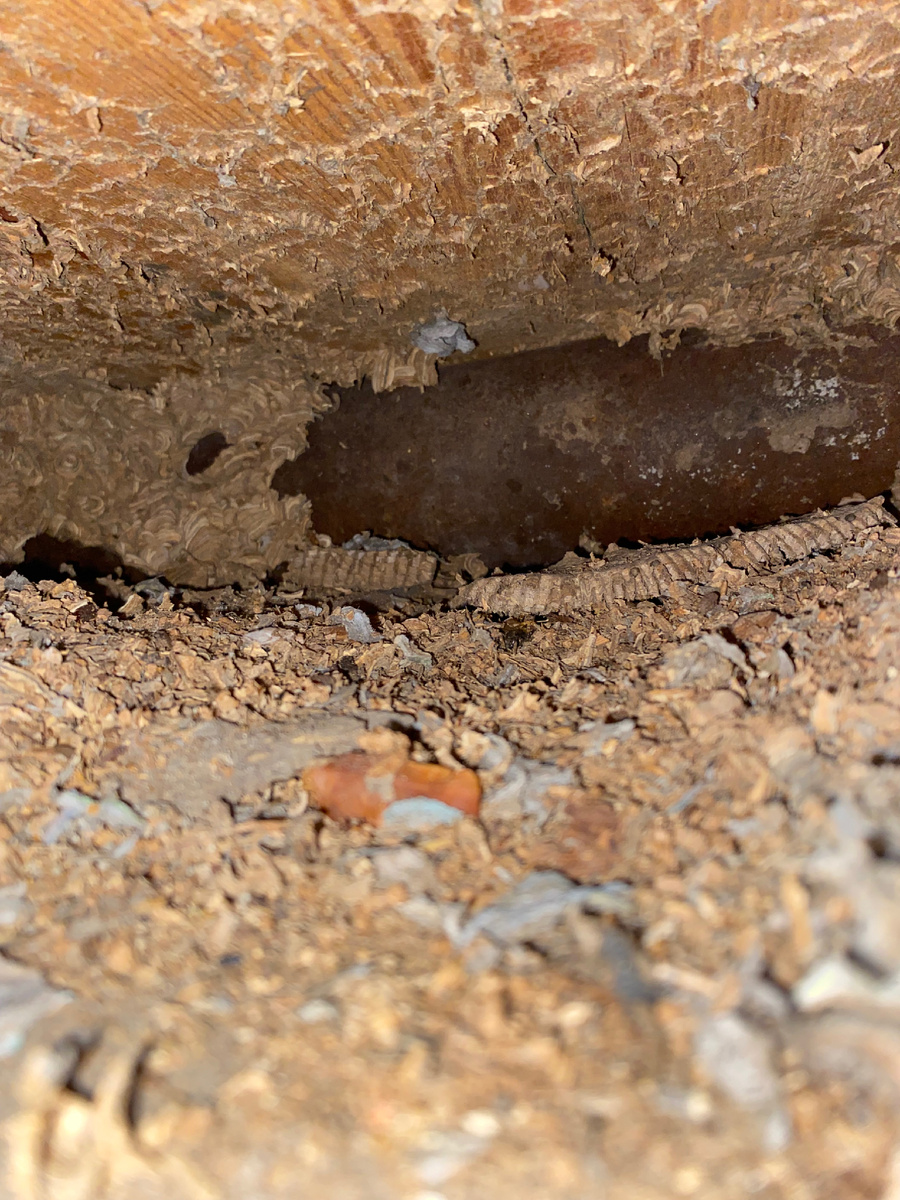 Вот что удалось заснять.