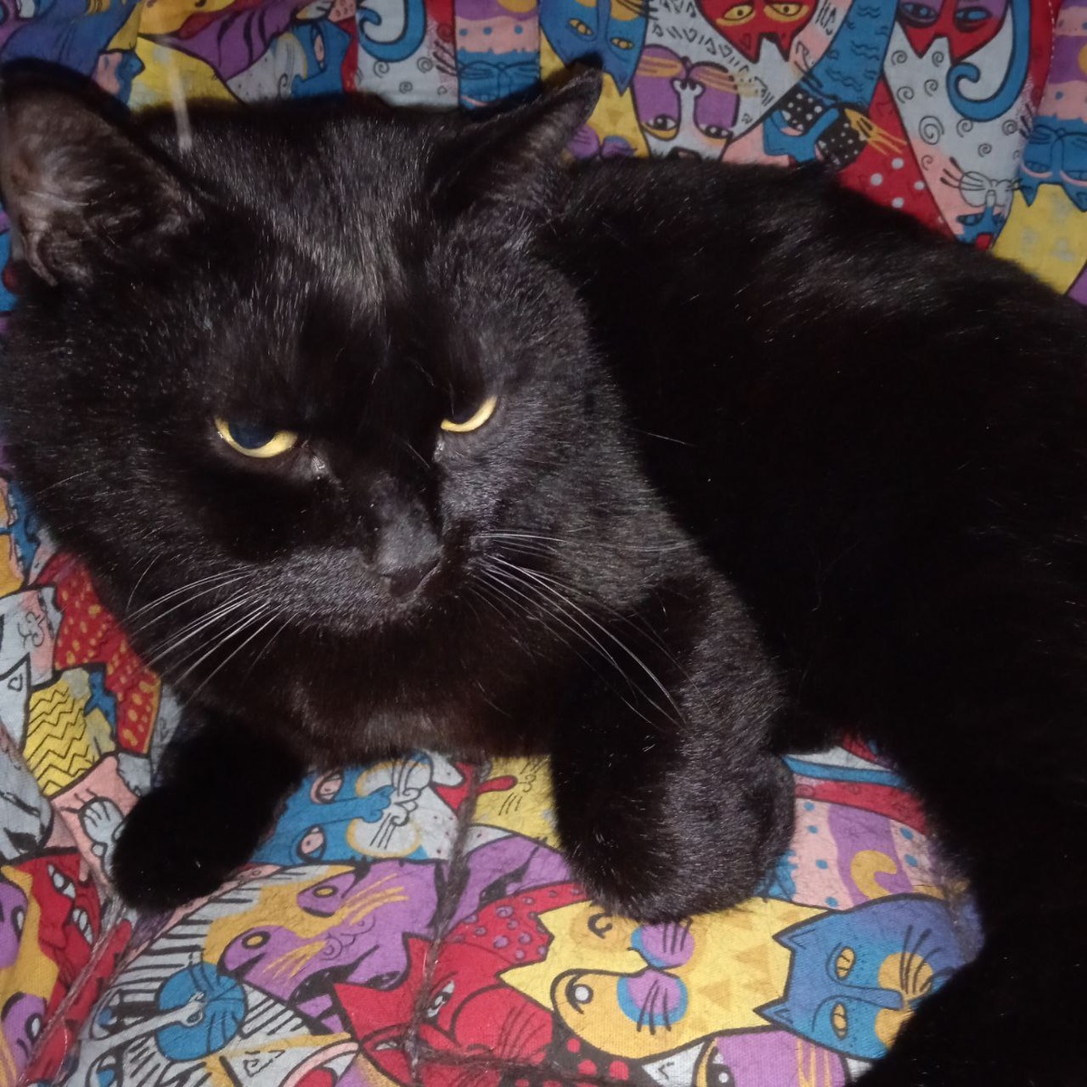 Фото автора.