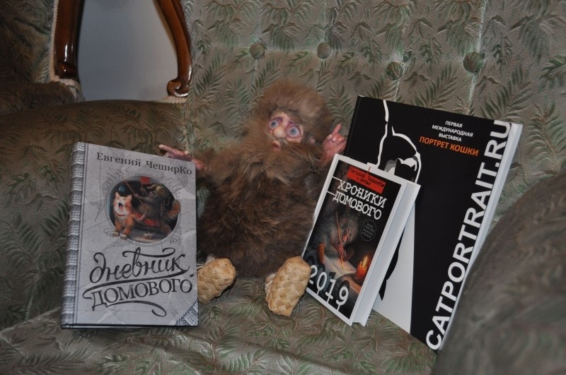 Фото: АиФ/ Никита ГУЛЯЕВ