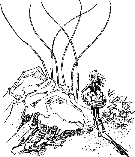 Изображение из открытых источников