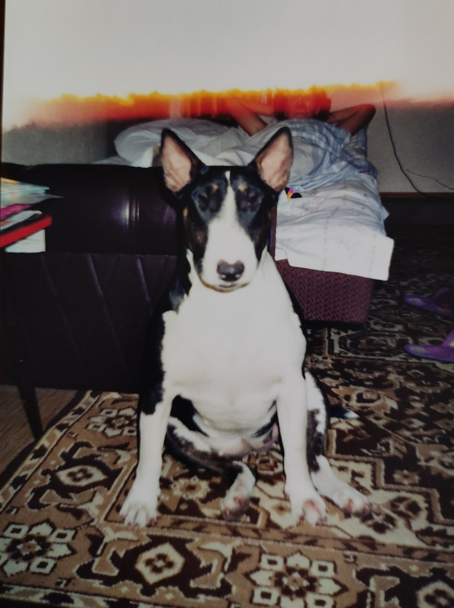 Фото автора