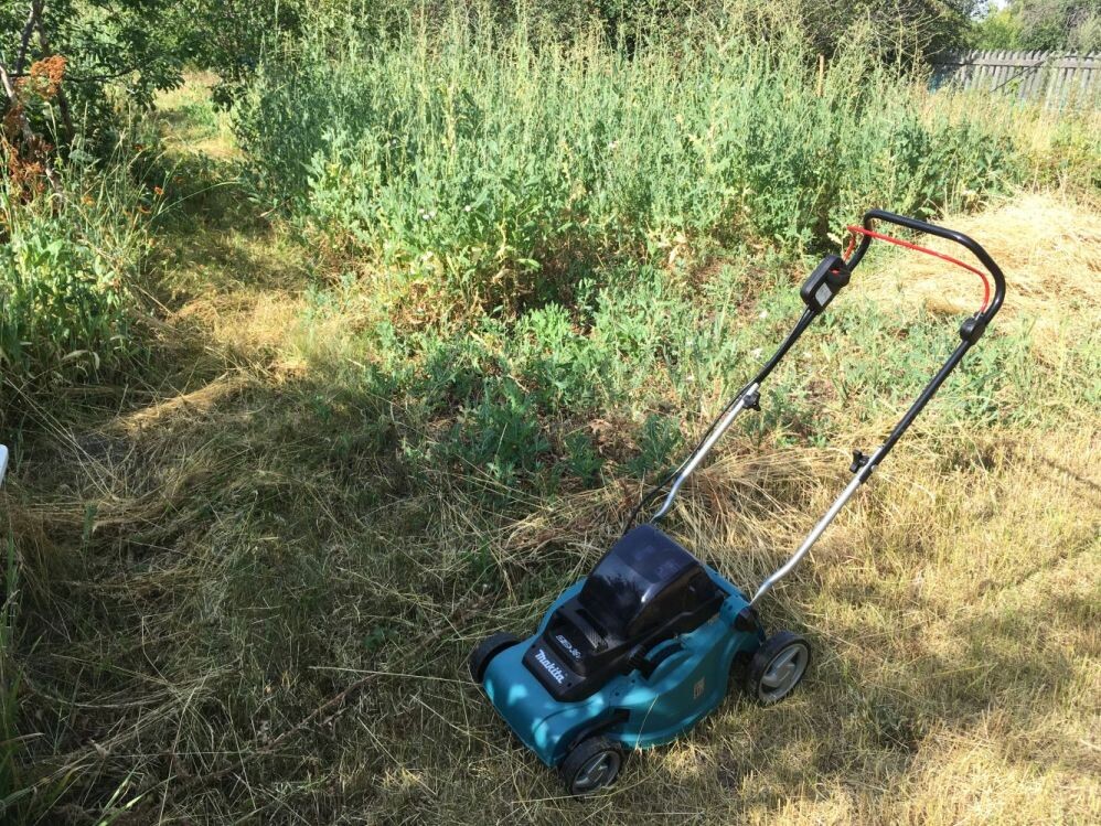 Отдых в "лесу"