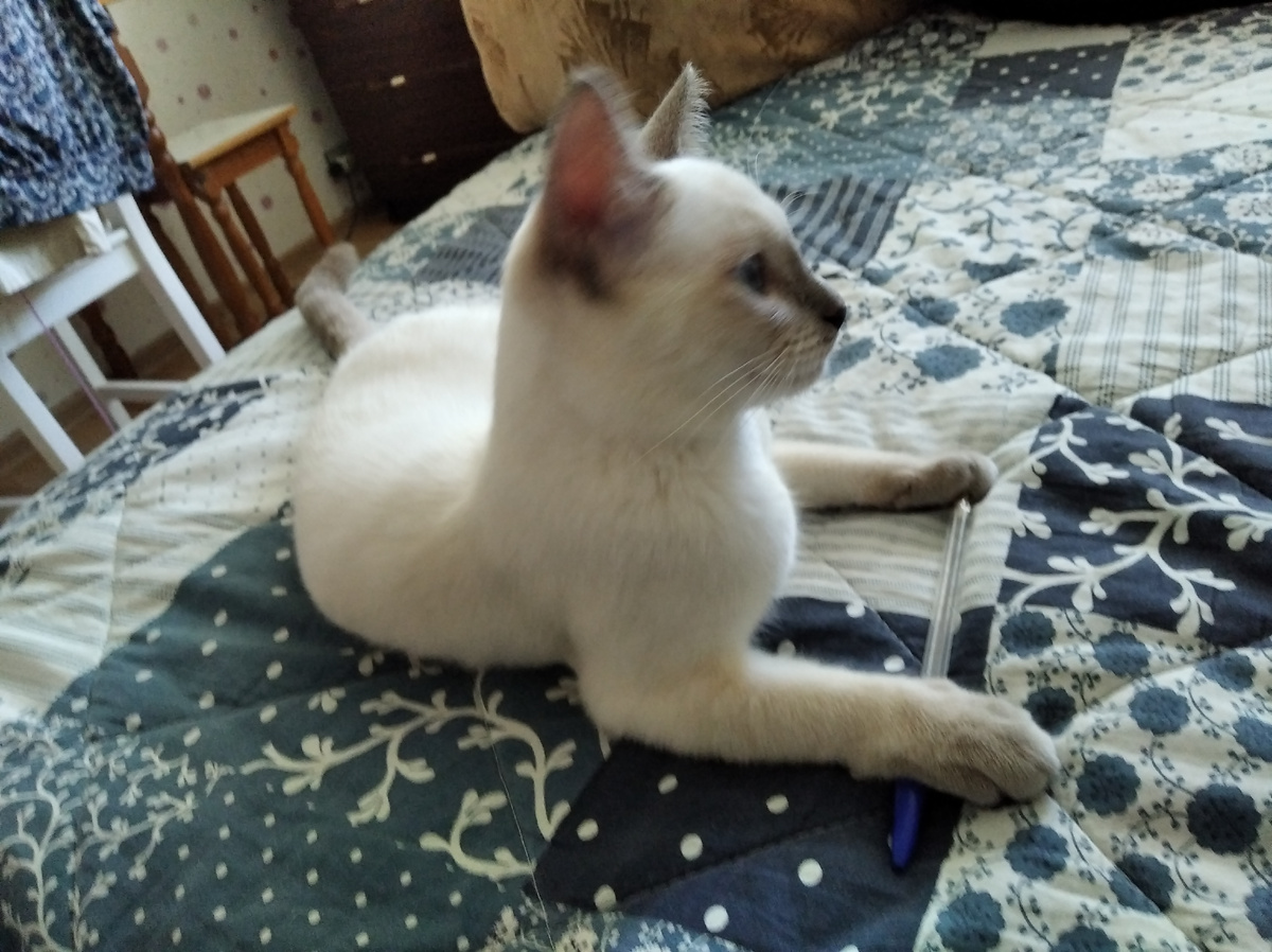 На что жалуетесь? Фото из архива автора