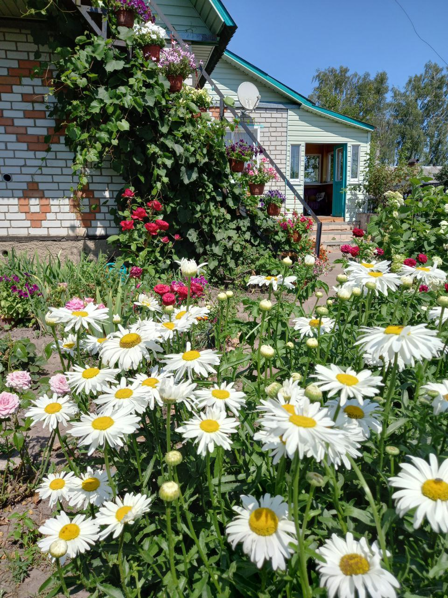 Когда на душе солнечно. Фото автора.