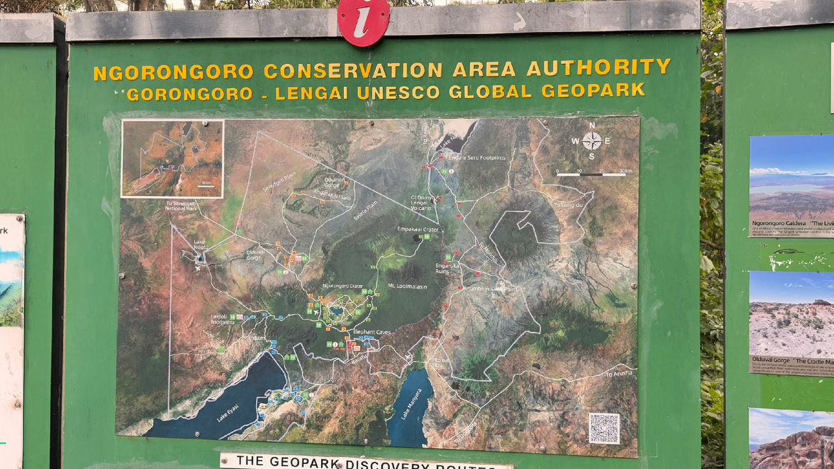 Парк Нгоронгоро