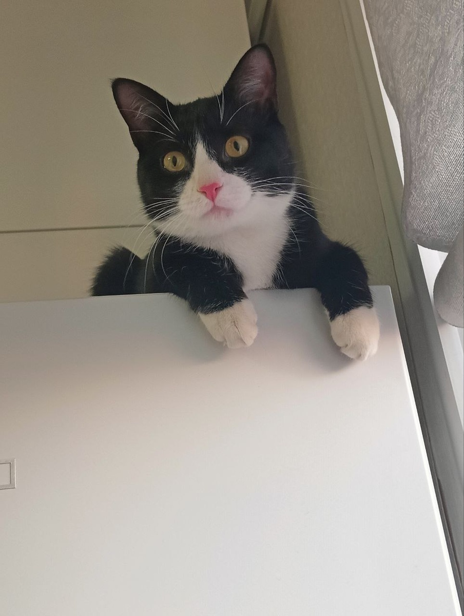 Ждем кормления