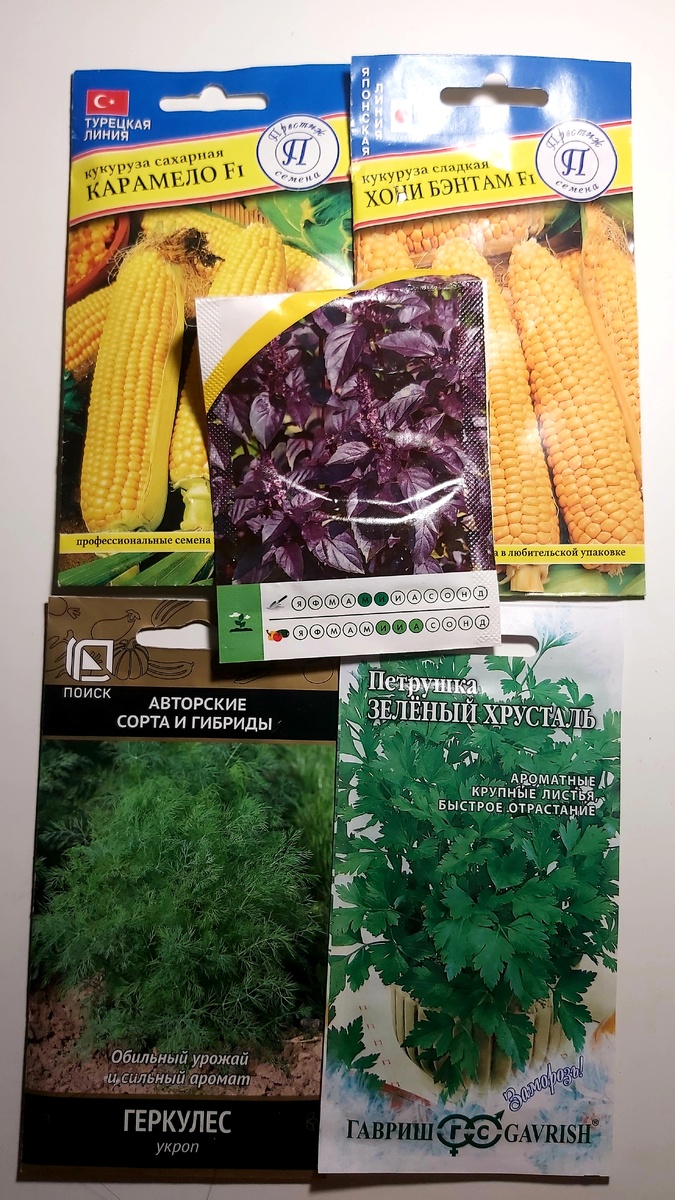 Планирую посадить, совсем мало