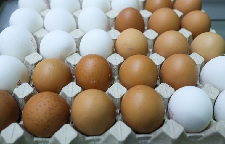    Сергей Петров/NEWS.ru