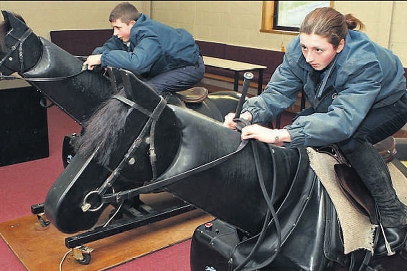 Скаковой симулятор.