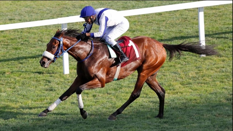 Создать карусельДобавьте описание