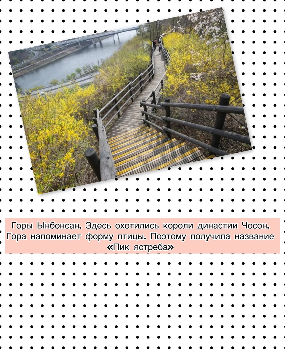 Фото взято из открытых источников в интернете. 