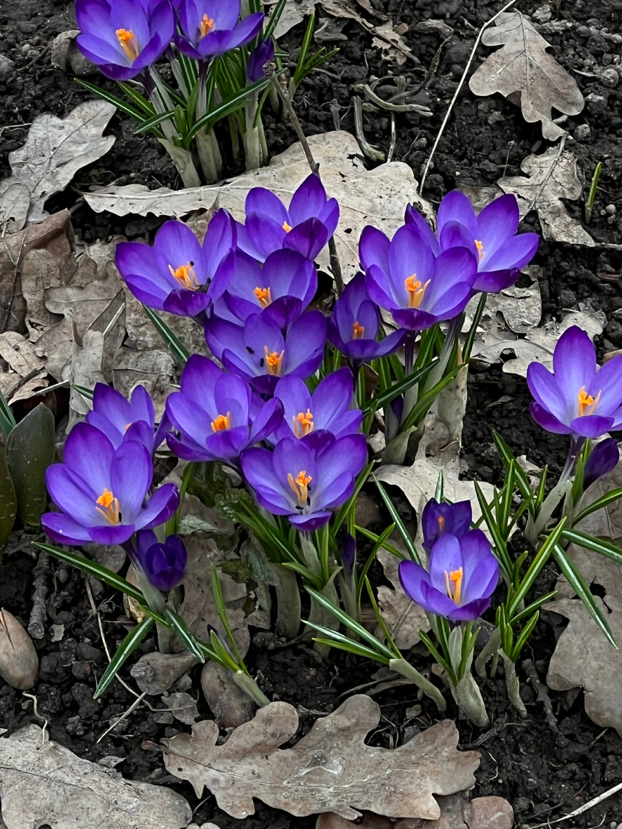 Фото сделанное мной)