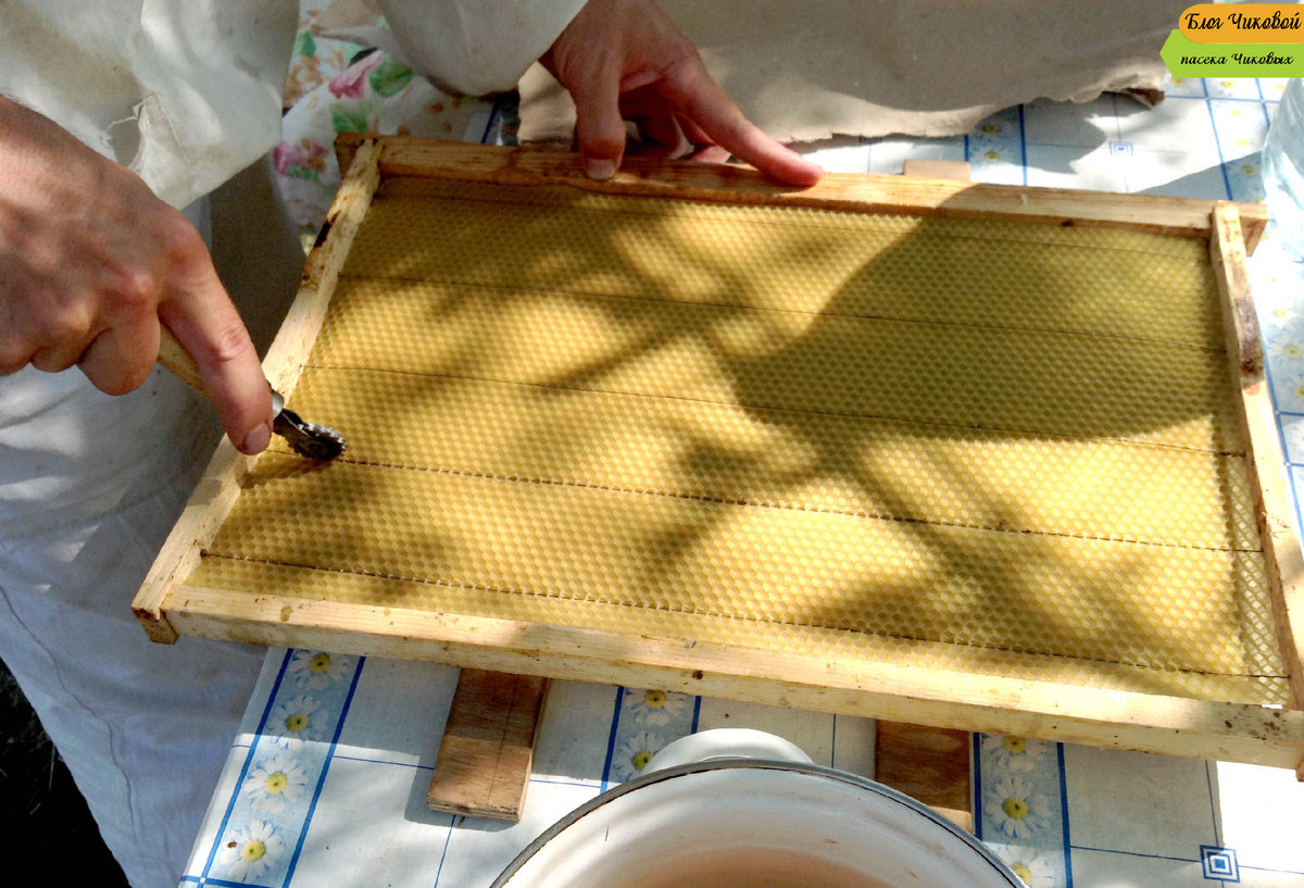 Фото для примера, на фото шпора Вуабле, количество струн может отличаться. 