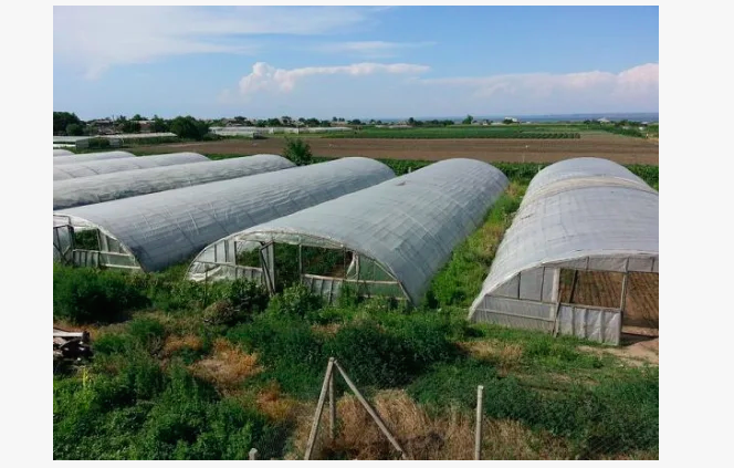 фото из интернета.