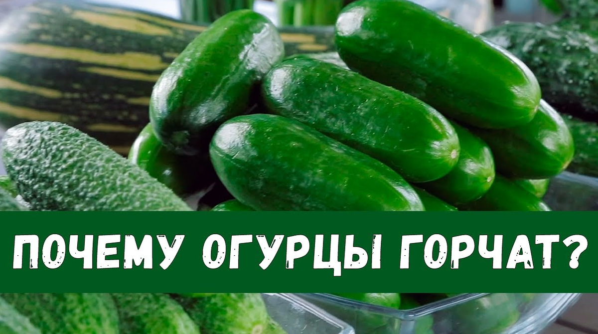 Дача. Сад. Цветы