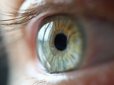    Стволовые клетки способны лечить повреждения роговицы