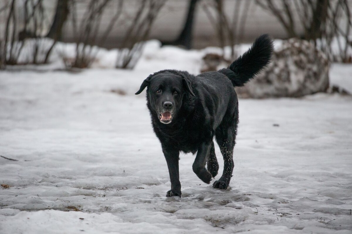     / Источник: © ИЗВЕСТИЯ/Телеканал «78»