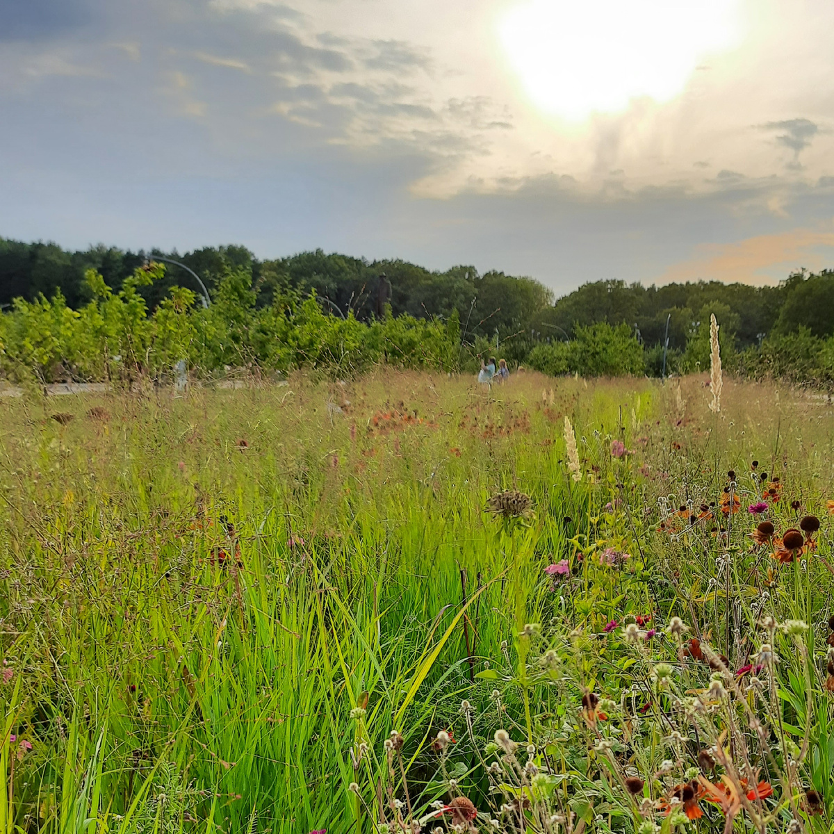 Все зависит от цели, с которой человек обращается к психологу