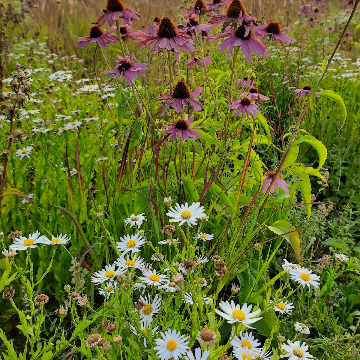 Все вокруг не могут быть плохими, все - разные