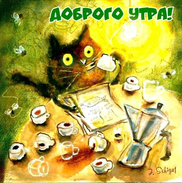 Фото из сети Интернет