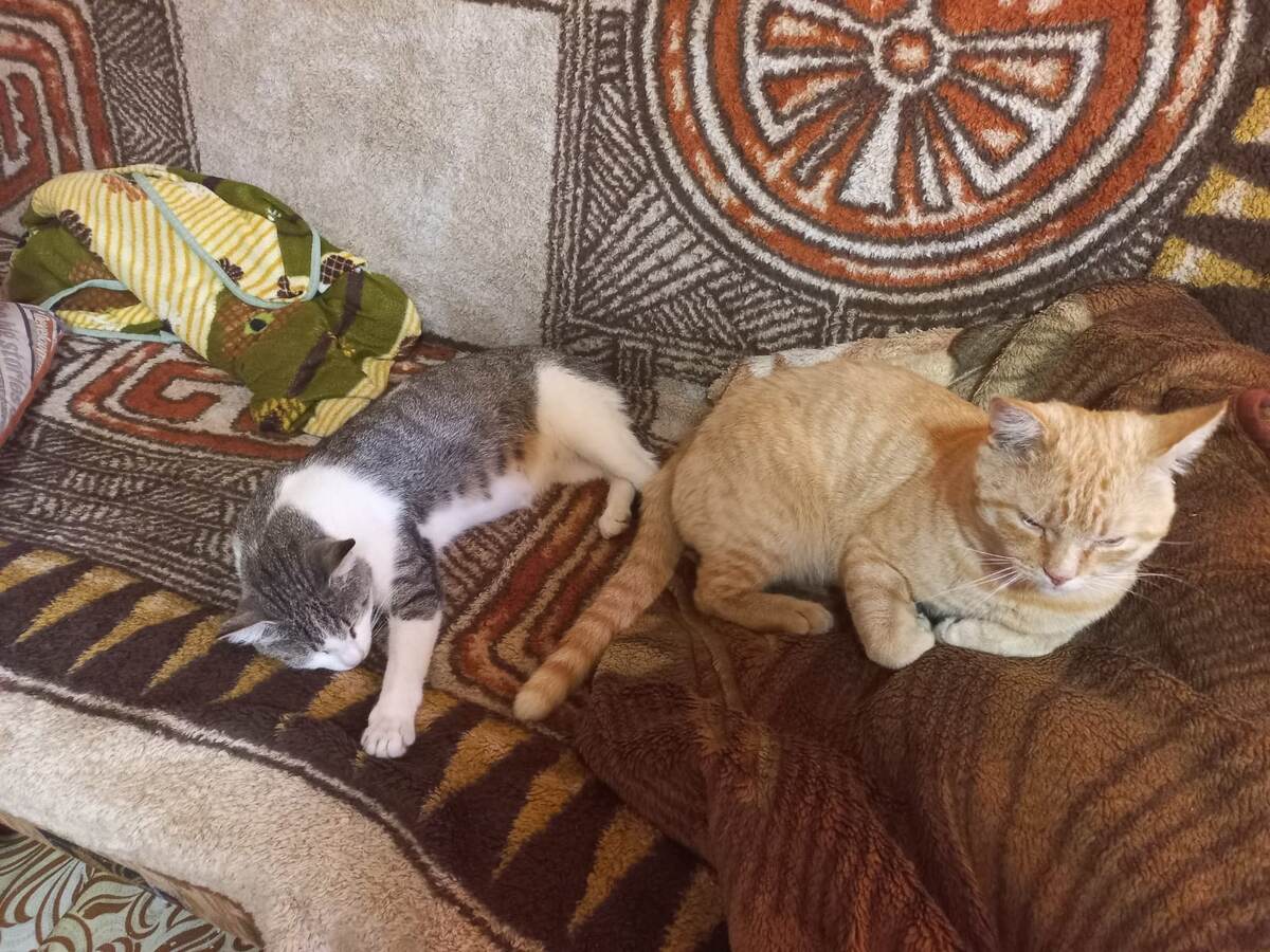 Дуня и Проня в молодости