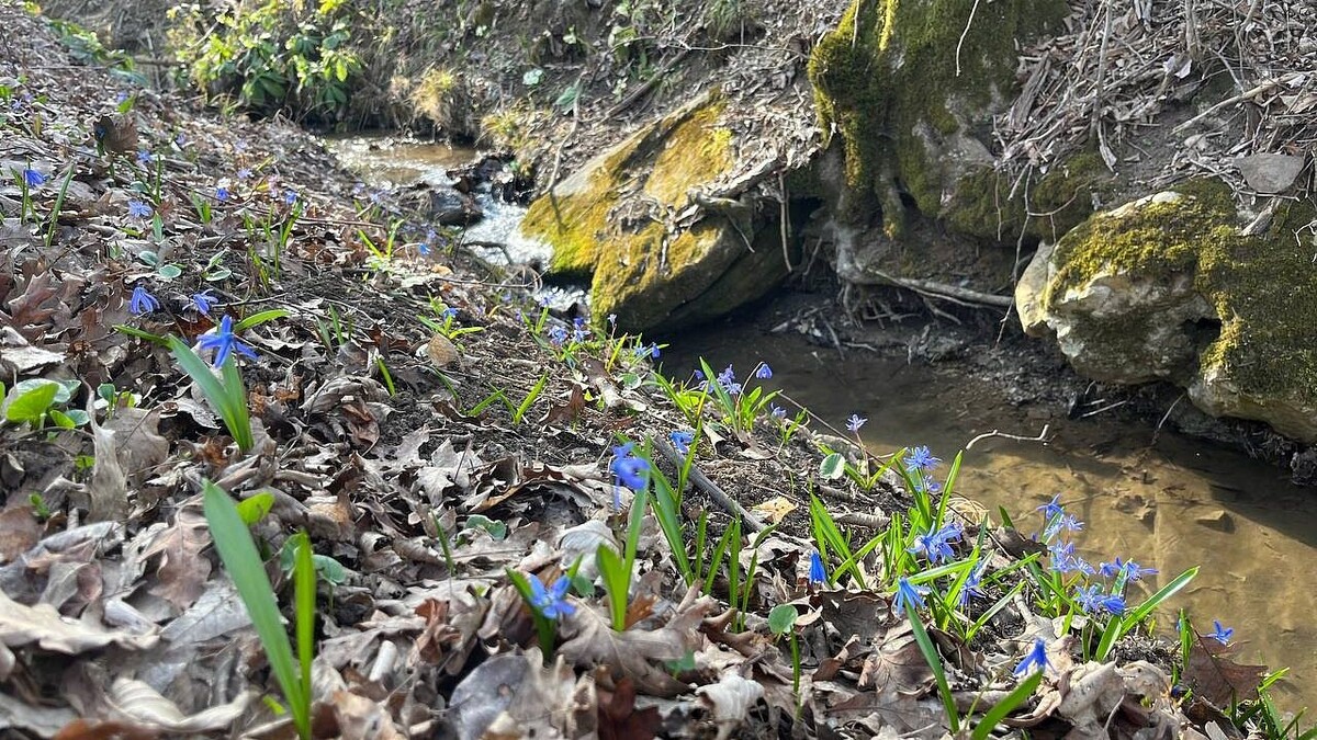    Фото: телеканал «Краснодар»