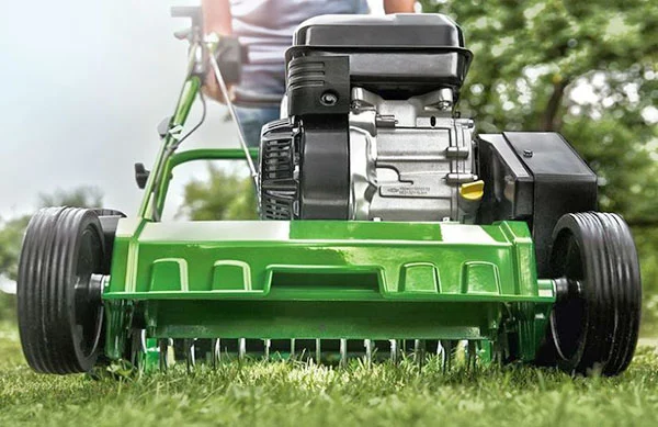 Лучшие скарификаторы в 2025 году