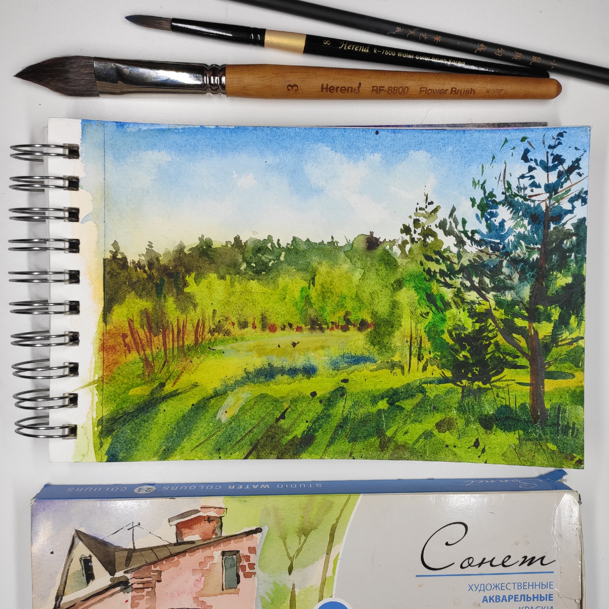 Пейзаж Ленинградской области. Работа моя