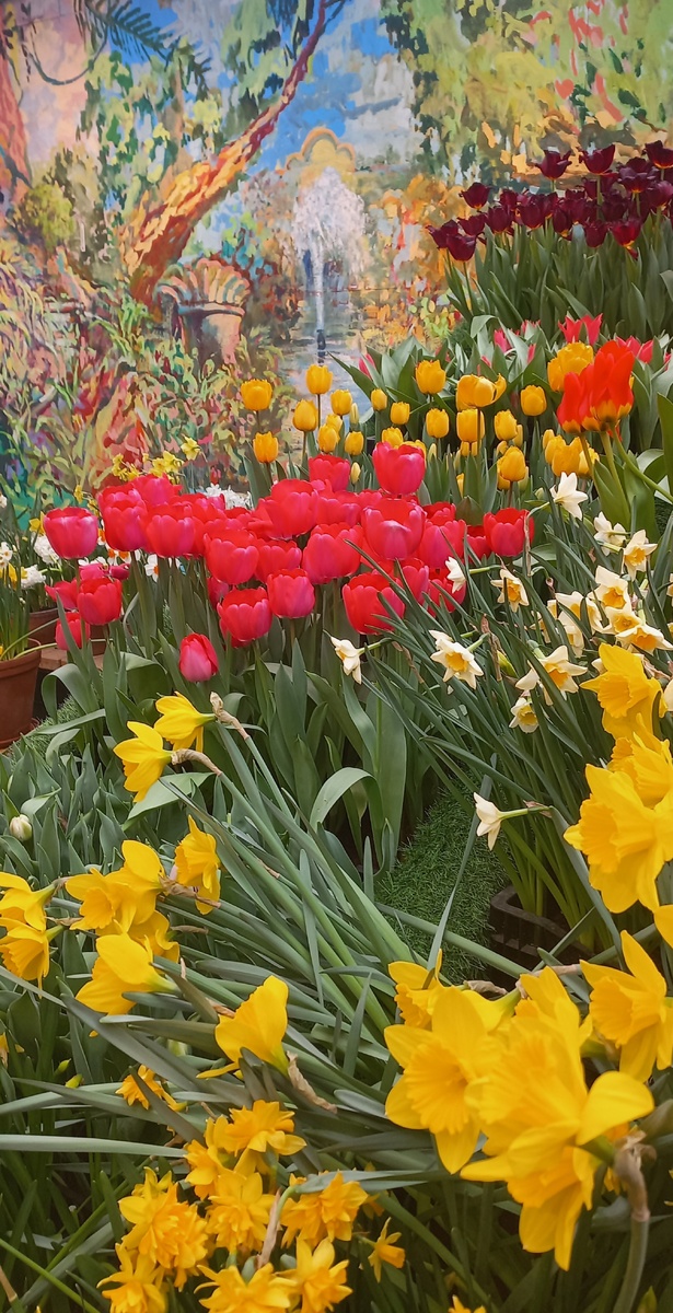 Репетиция весны. Аптекарский огород.