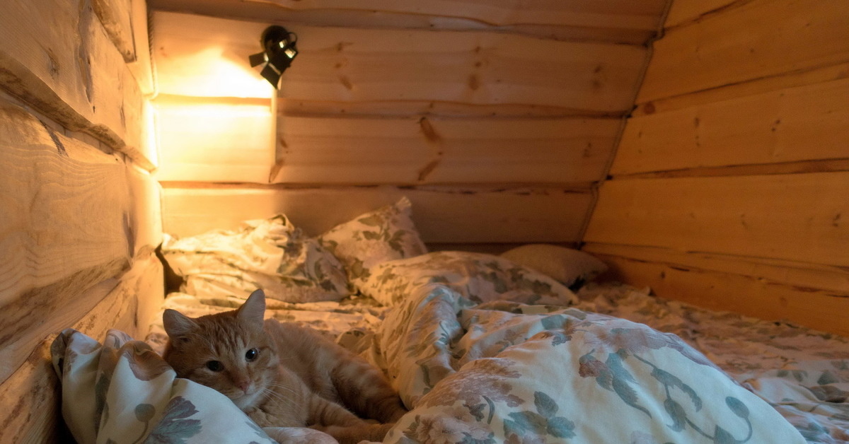 Что немцу хорошо, то русскому нет