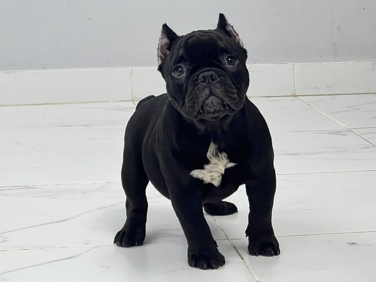 Фотографюя сделана в июле 2024. Эта девочка сейчас живёт в ХМАО