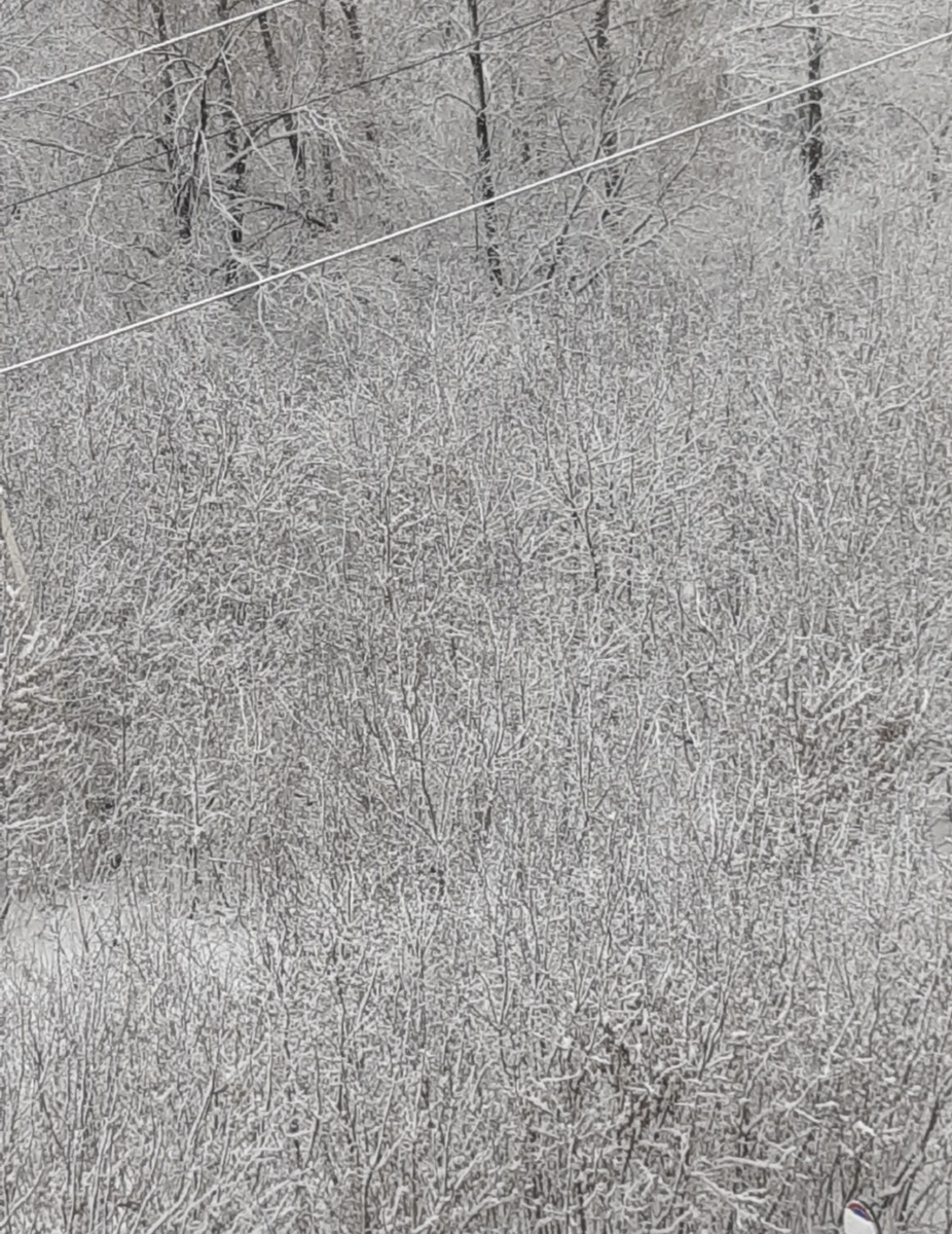 Тула. Фотография читательницы