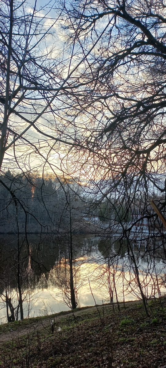 Фото автора. Подмосковье.