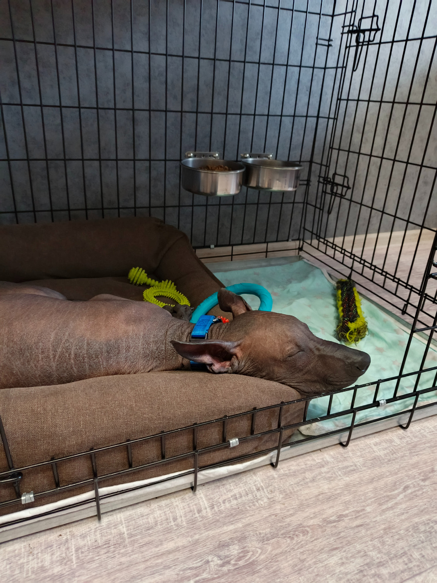 Устал малыш