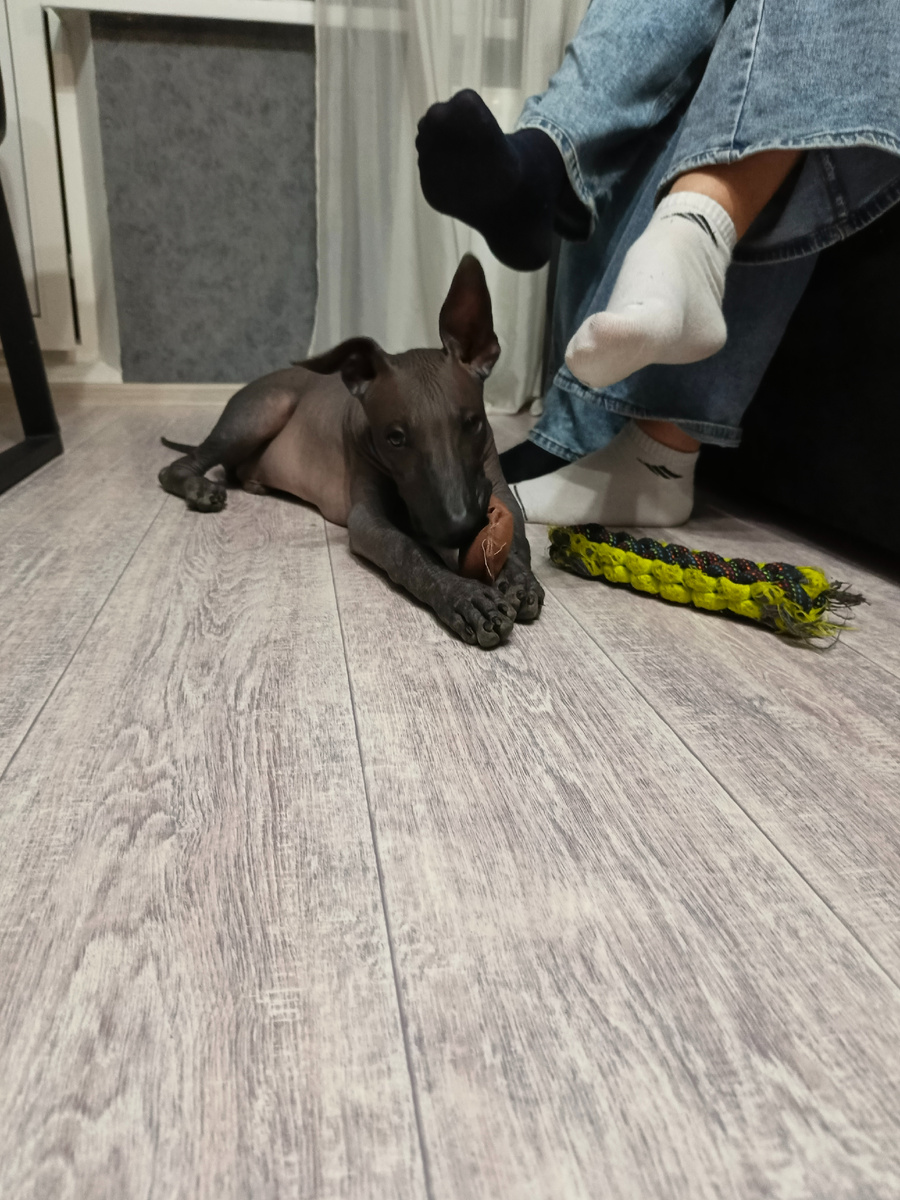 С любимыми рядом