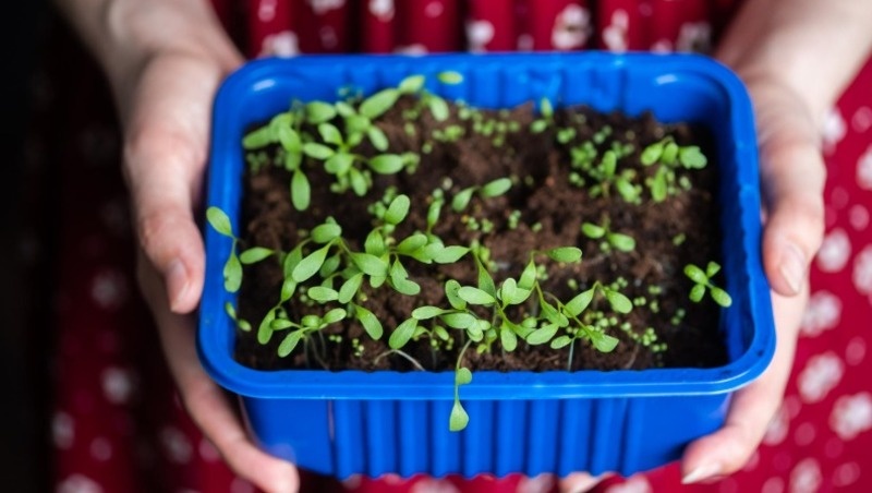 Фото: @EyeEm / freepik.com