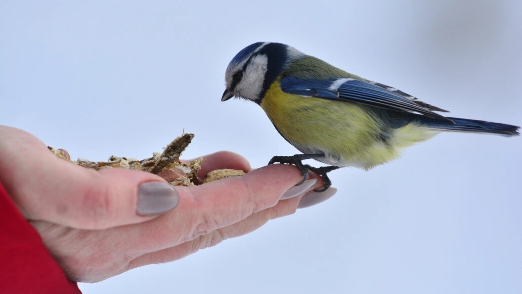    Pavel Kashaev/Globallookpress