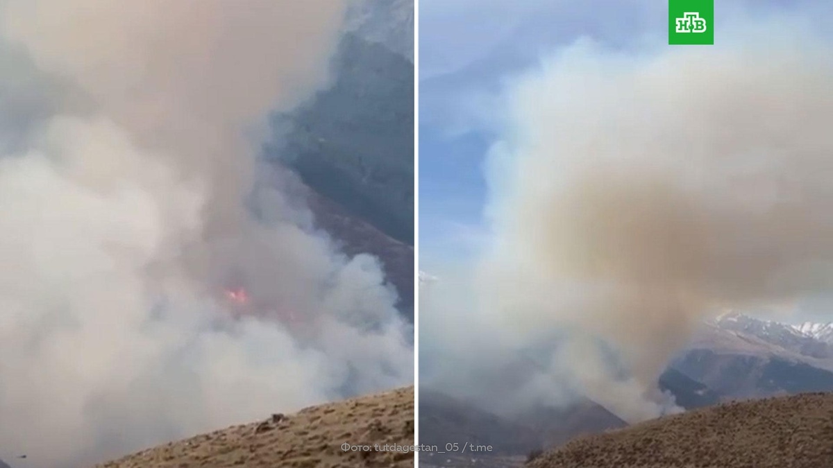    Крупный лесной пожар вспыхнул в Дагестане