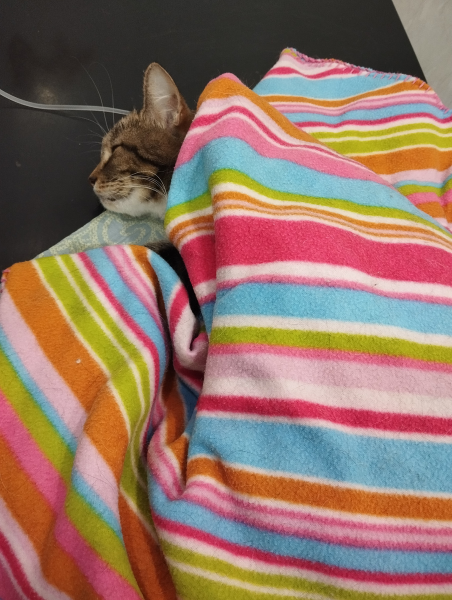 Перед операцией последние кадры 