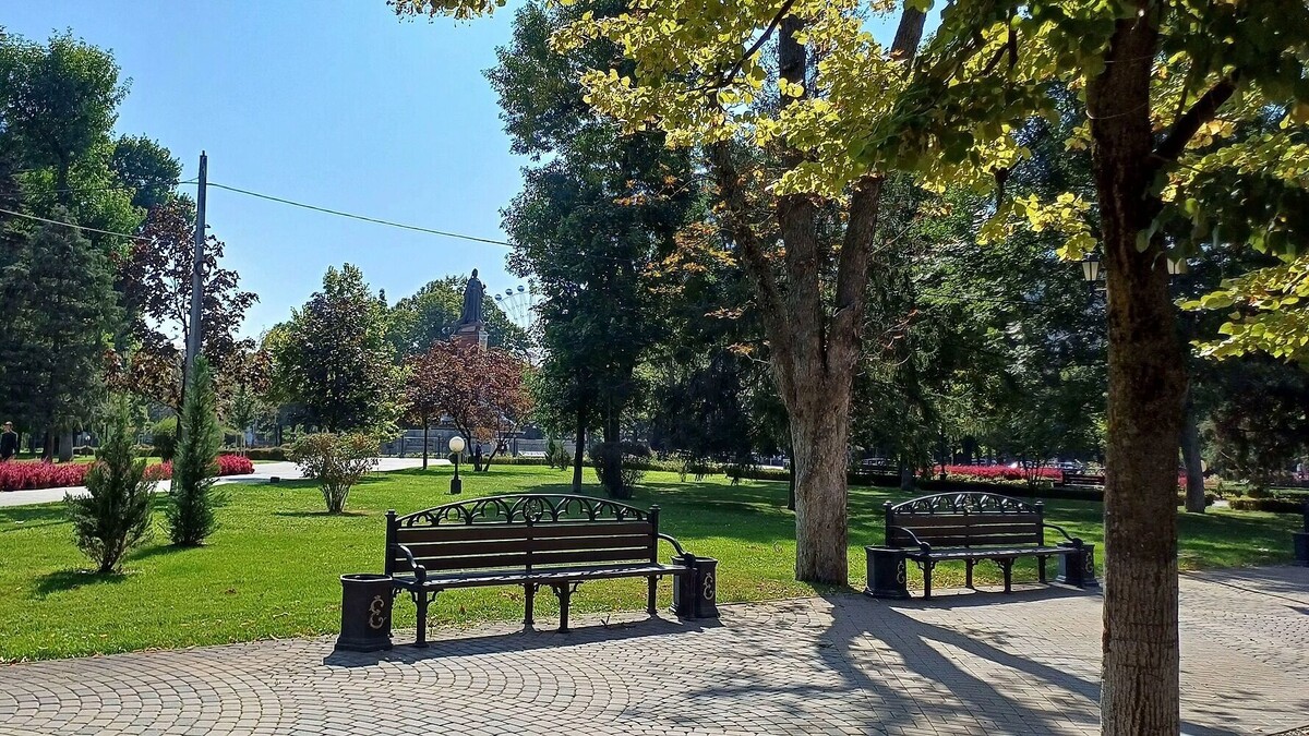     Автор: KubanPress