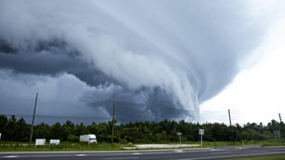    В США от ударов стихии погибли 36 человек ©Shutterstock / Fotodom