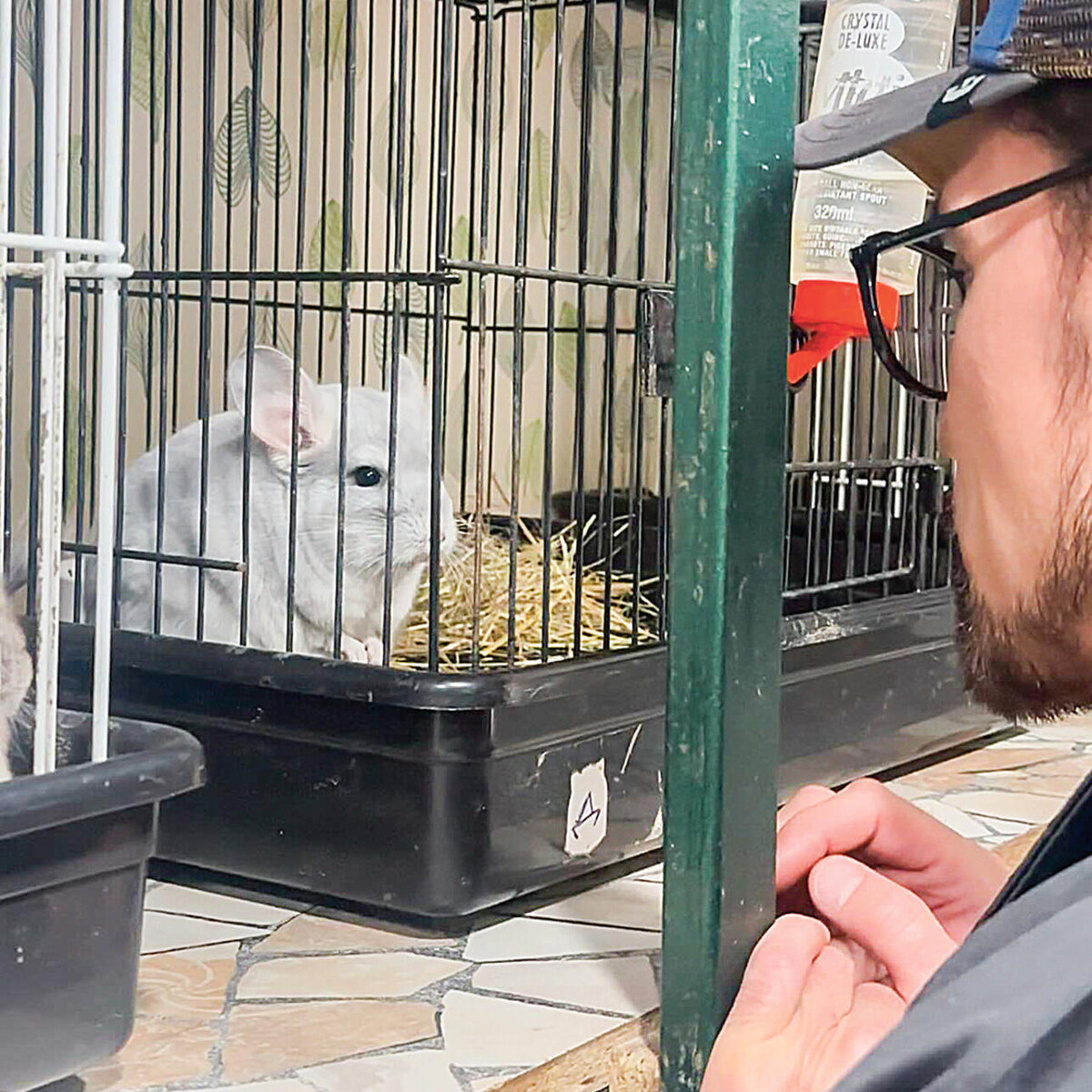    Дима Билан Соцсети Димы Билана