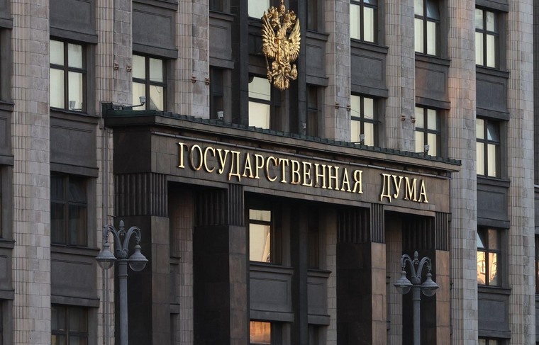    Наталья Шатохина/NEWS.ru