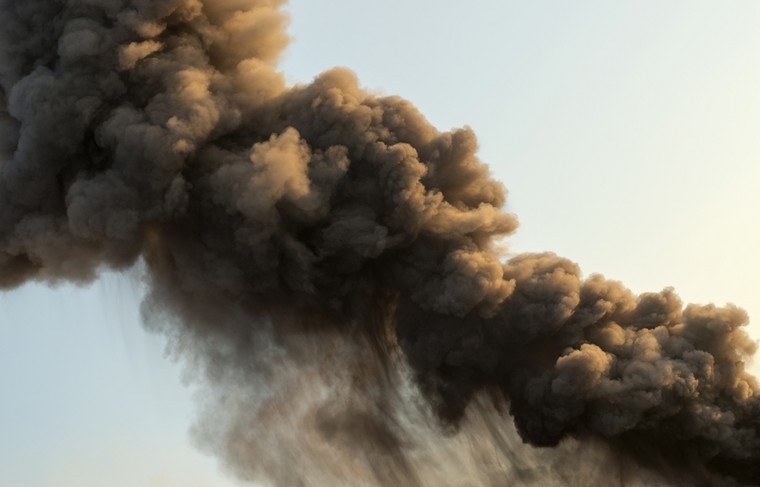    Shutterstock/FOTODOM