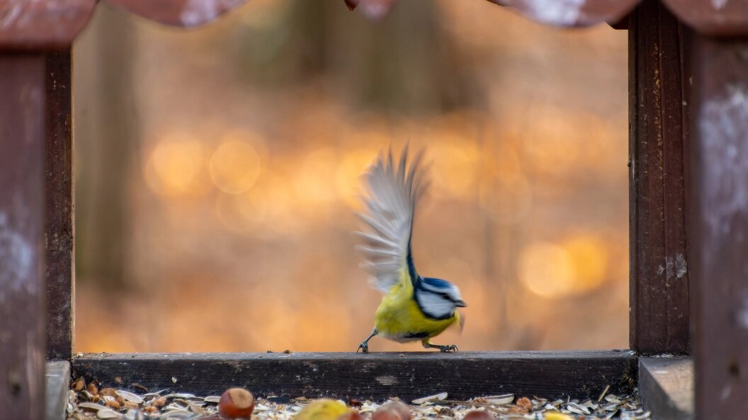    Фото: Komsomolskaya Pravda/Globallookpress