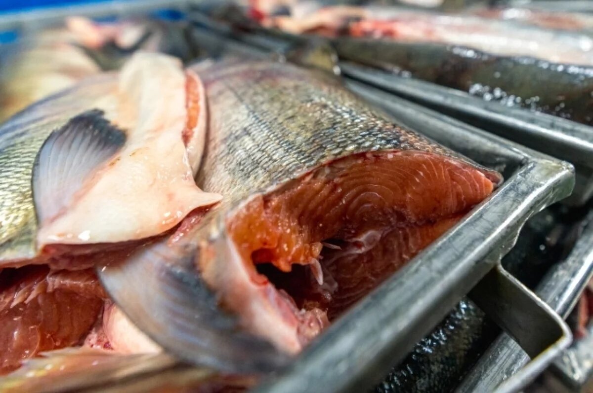    Камчатка отправила за рубеж более 5,6 тысячи тонн рыбопродукции