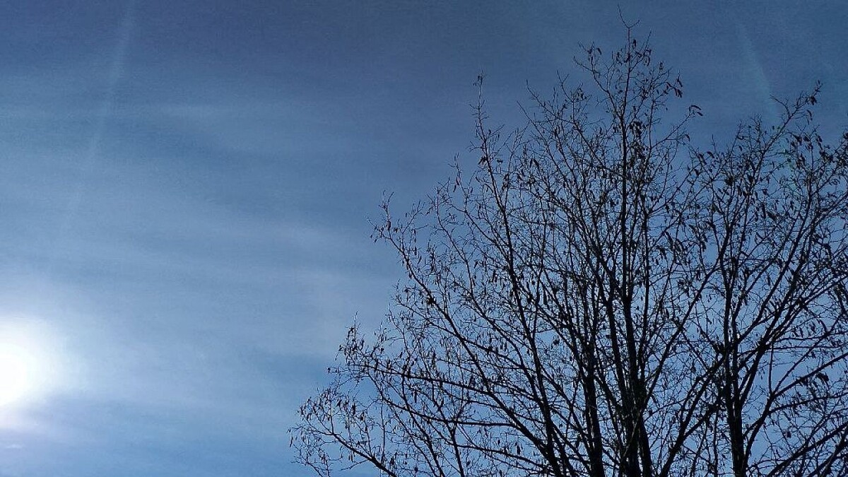    Фото: телеканал «Краснодар»