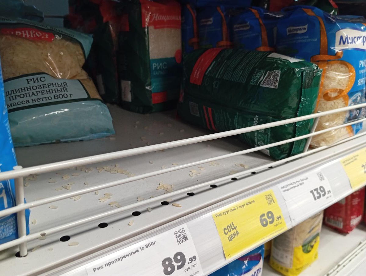    Фото: Дарья Якунина