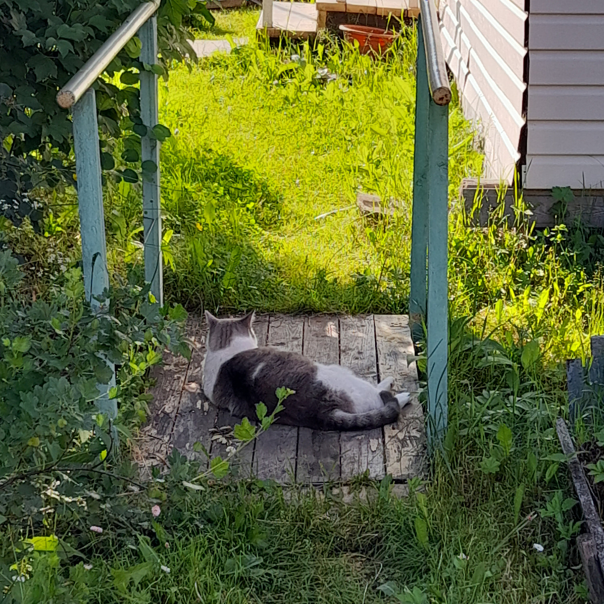 Фото автора.  Мостик между нашими с соседкой участками