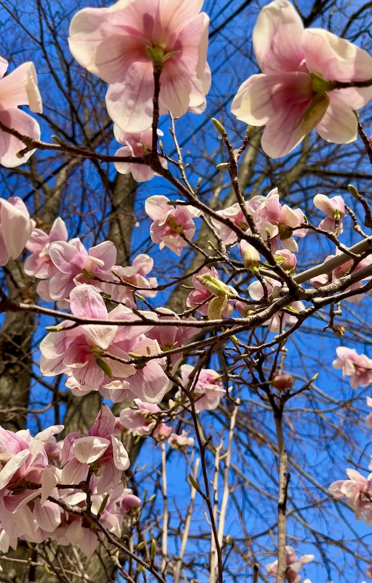 Район Театральной площади на Красной 